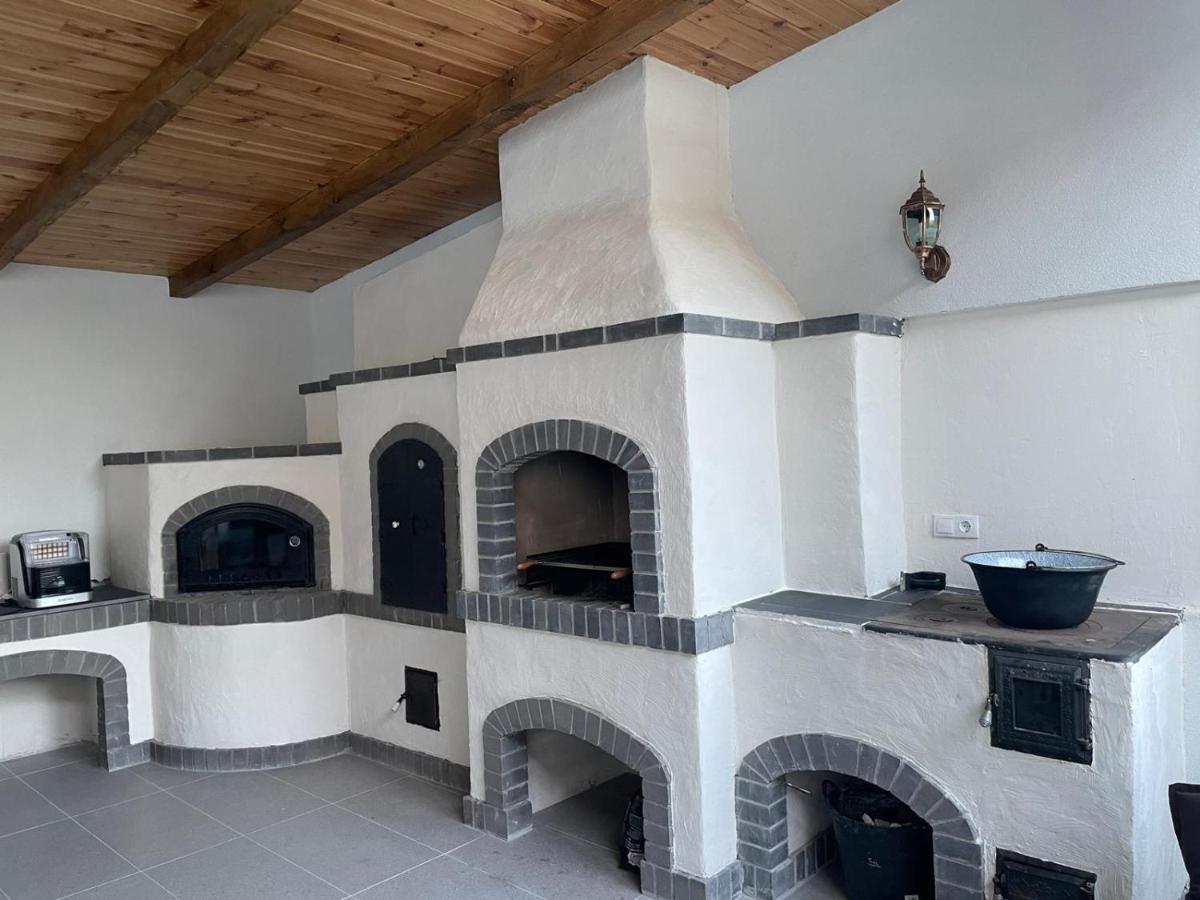 Hotel Casa de lângă pădure à Sighetu Marmaţiei Extérieur photo