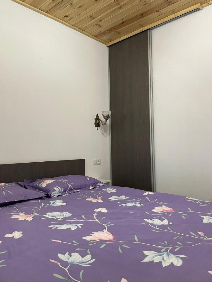 Hotel Casa de lângă pădure à Sighetu Marmaţiei Extérieur photo