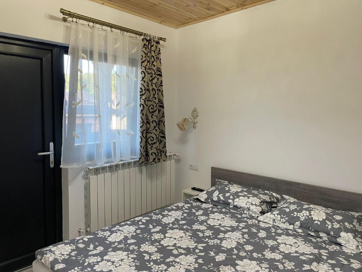 Hotel Casa de lângă pădure à Sighetu Marmaţiei Extérieur photo