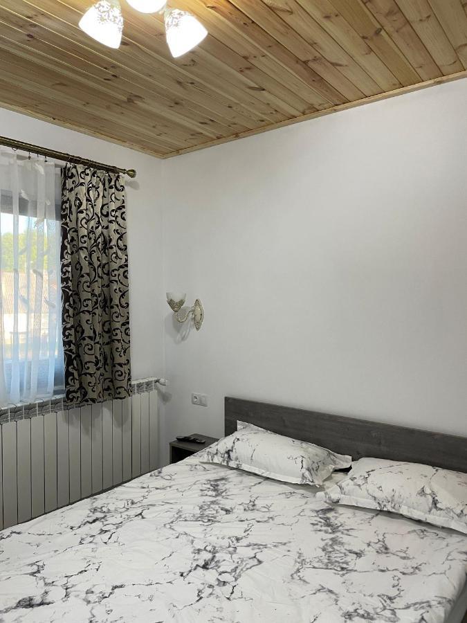 Hotel Casa de lângă pădure à Sighetu Marmaţiei Extérieur photo