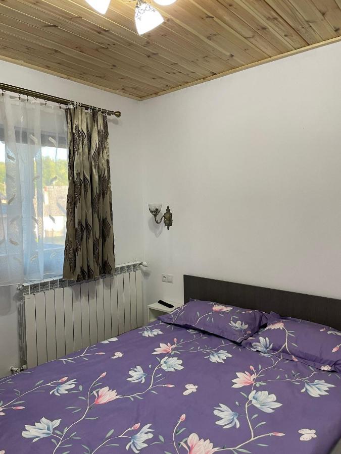 Hotel Casa de lângă pădure à Sighetu Marmaţiei Extérieur photo