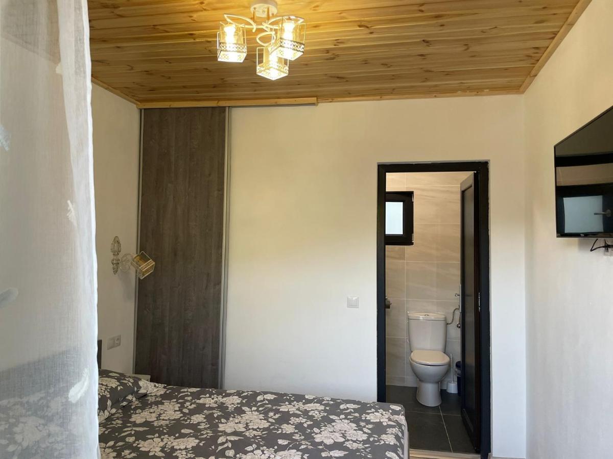 Hotel Casa de lângă pădure à Sighetu Marmaţiei Extérieur photo
