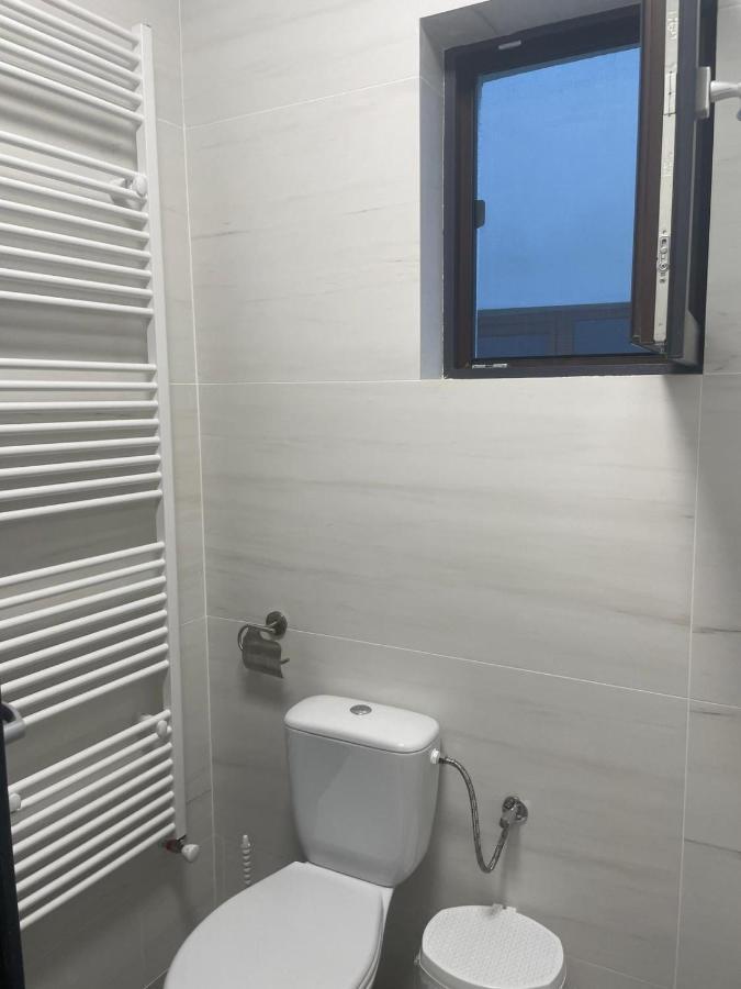 Hotel Casa de lângă pădure à Sighetu Marmaţiei Extérieur photo
