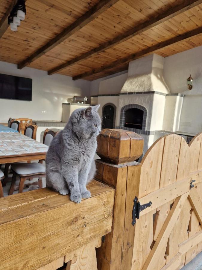 Hotel Casa de lângă pădure à Sighetu Marmaţiei Extérieur photo